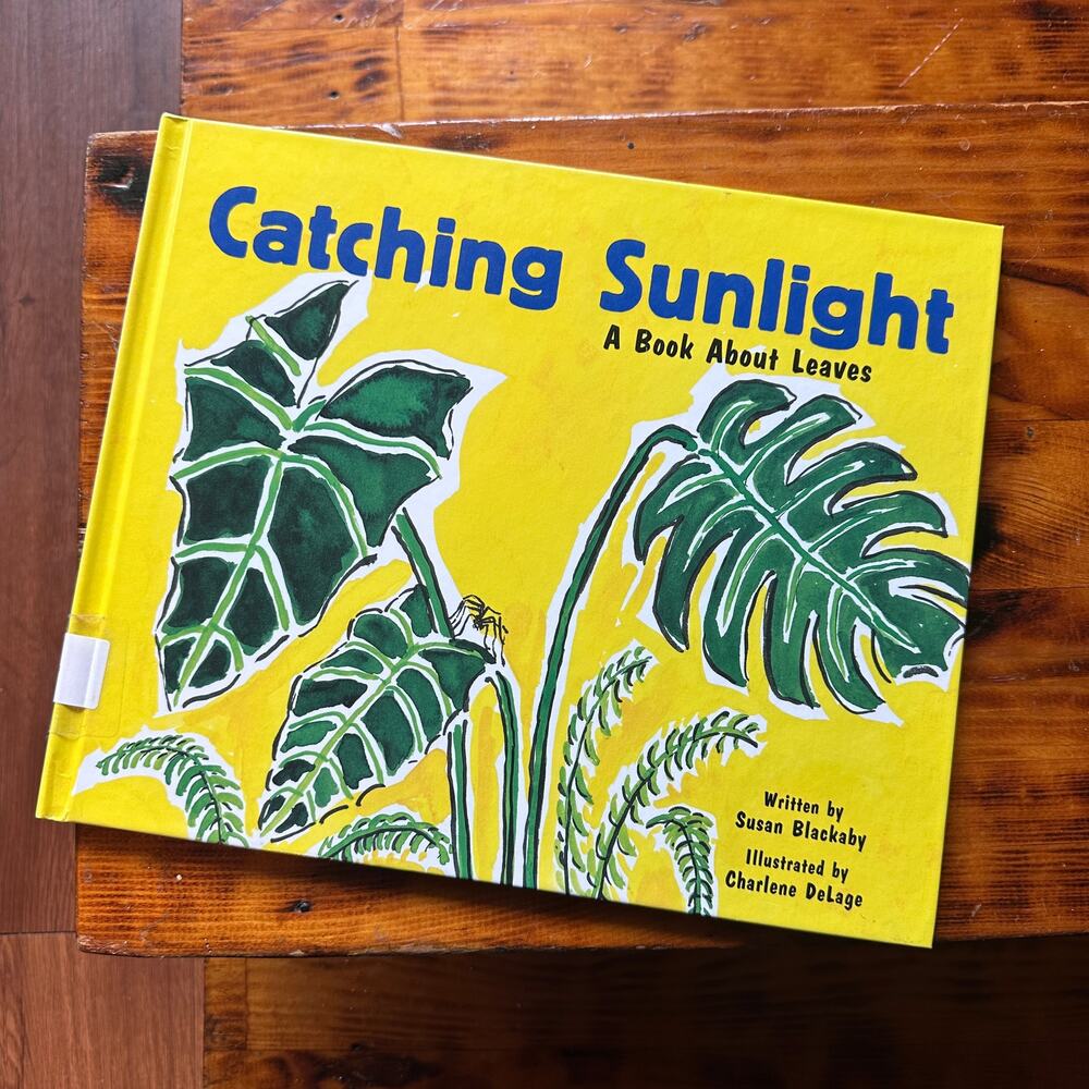Vintage 2003 Catching Sunlight A Book About Leaves Hardcover Book